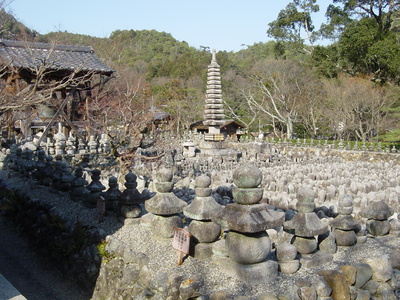 dsc05585 dsc05585