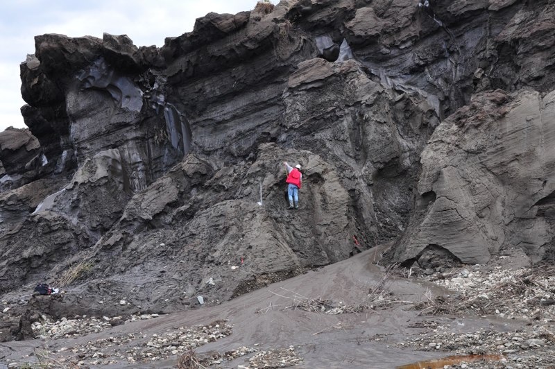 .19_late_pleistocene_ca._30000_years_old_klondike_area_yukon._d.froese_0155