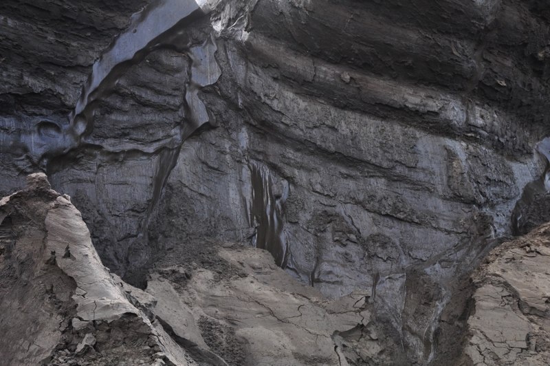 .20_late_pleistocene_ca._30000_years_old_klondike_area_yukon._d.froese_0150