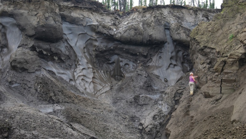 .21_paleontologist_elizabeth_hall_stands_on_an_exposure_of_permafrost_photo_courtesy_of_government_of_yukon