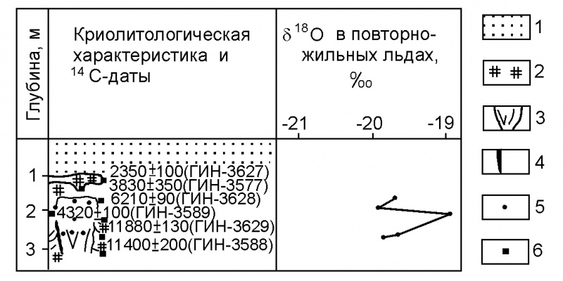 _6_2_37_mamont.