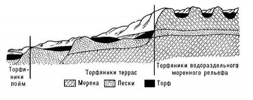 fig1